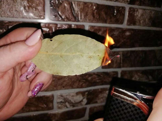 Zapáli doma bobkový list? Spoznajte tajomstvo tohto voňavého rituálu